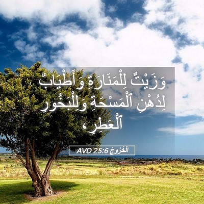 Picture 05 - اَلْخُرُوجُ 25:6 AVD - وَزَيْتٌ لِلْمَنَارَةِ - Bible Verse Picture