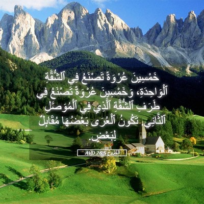 Picture 05 - اَلْخُرُوجُ 26:5 AVD - خَمْسِينَ عُرْوَةً - Bible Verse Picture