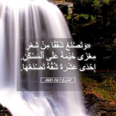Picture 05 - اَلْخُرُوجُ 26:7 AVD - «وَتَصْنَعُ شُقَقًا مِنْ - Bible Verse Picture