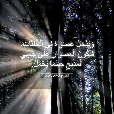 Picture 05 - اَلْخُرُوجُ 27:7 AVD - وَتُدْخَلُ عَصَوَاهُ فِي - Bible Verse Picture