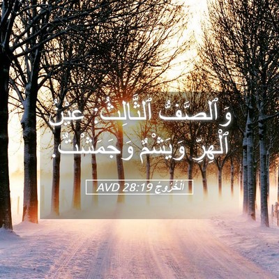 Picture 05 - اَلْخُرُوجُ 28:19 AVD - وَٱلصَّفُّ ٱلثَّالِثُ: - Bible Verse Picture