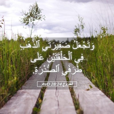 Picture 05 - اَلْخُرُوجُ 28:24 AVD - وَتَجْعَلُ ضَفِيرَتَيِ - Bible Verse Picture