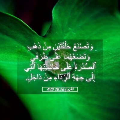 Picture 05 - اَلْخُرُوجُ 28:26 AVD - وَتَصْنَعُ حَلْقَتَيْنِ - Bible Verse Picture