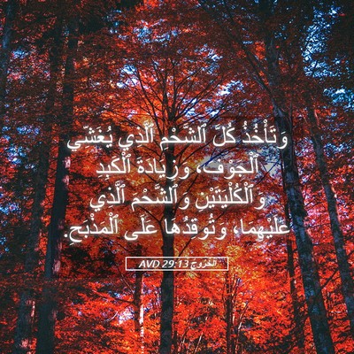 Picture 05 - اَلْخُرُوجُ 29:13 AVD - وَتَأْخُذُ كُلَّ - Bible Verse Picture