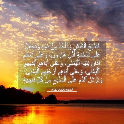 Picture 05 - اَلْخُرُوجُ 29:20 AVD - فَتَذْبَحُ ٱلْكَبْشَ - Bible Verse Picture