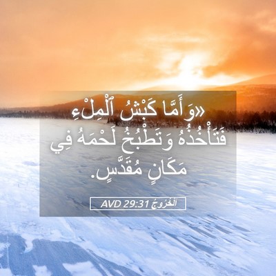 Picture 05 - اَلْخُرُوجُ 29:31 AVD - «وَأَمَّا كَبْشُ - Bible Verse Picture