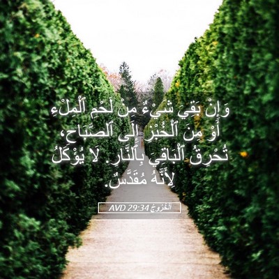 Picture 05 - اَلْخُرُوجُ 29:34 AVD - وَإِنْ بَقِيَ شَيْءٌ مِنْ - Bible Verse Picture