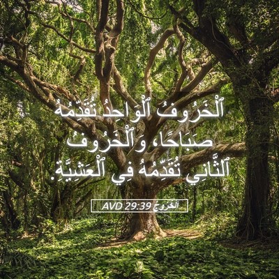 Picture 05 - اَلْخُرُوجُ 29:39 AVD - ٱلْخَرُوفُ ٱلْوَاحِدُ - Bible Verse Picture
