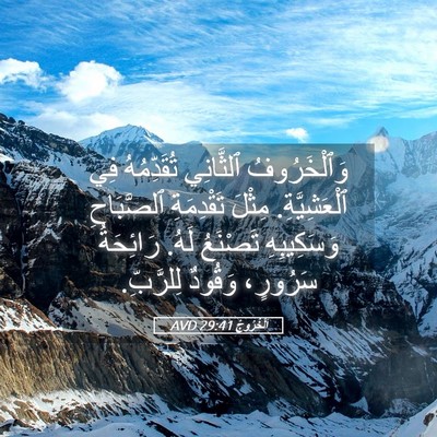 Picture 05 - اَلْخُرُوجُ 29:41 AVD - وَٱلْخَرُوفُ ٱلثَّانِي - Bible Verse Picture