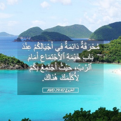 Picture 05 - اَلْخُرُوجُ 29:42 AVD - مُحْرَقَةٌ دَائِمَةٌ فِي - Bible Verse Picture