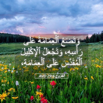 Picture 05 - اَلْخُرُوجُ 29:6 AVD - وَتَضَعُ ٱلْعِمَامَةَ - Bible Verse Picture