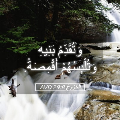 Picture 05 - اَلْخُرُوجُ 29:8 AVD - وَتُقَدِّمُ بَنِيهِ - Bible Verse Picture