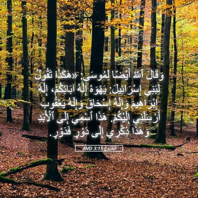 Picture 05 - اَلْخُرُوجُ 3:15 AVD - وَقَالَ ٱللهُ أَيْضًا - Bible Verse Picture