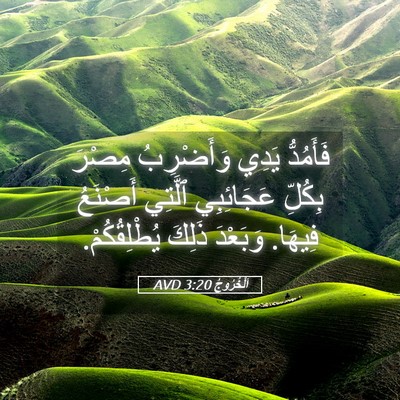Picture 05 - اَلْخُرُوجُ 3:20 AVD - فَأَمُدُّ يَدِي - Bible Verse Picture