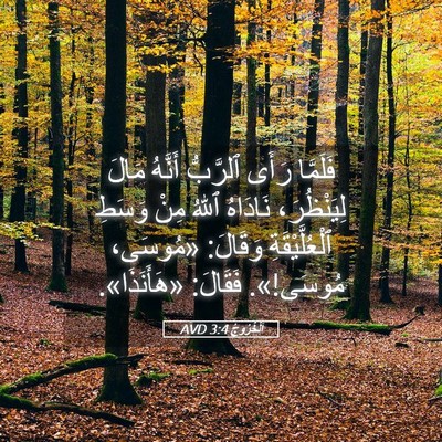 Picture 05 - اَلْخُرُوجُ 3:4 AVD - فَلَمَّا رَأَى ٱلرَّبُّ - Bible Verse Picture