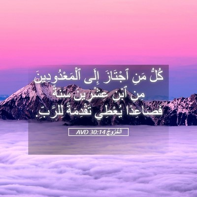 Picture 05 - اَلْخُرُوجُ 30:14 AVD - كُلُّ مَنِ ٱجْتَازَ إِلَى - Bible Verse Picture