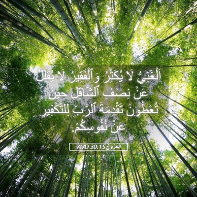 Picture 05 - اَلْخُرُوجُ 30:15 AVD - اَلْغَنِيُّ لَا يُكَثِّرُ - Bible Verse Picture