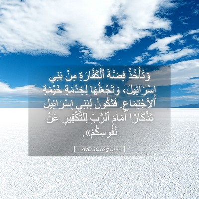 Picture 05 - اَلْخُرُوجُ 30:16 AVD - وَتَأْخُذُ فِضَّةَ - Bible Verse Picture
