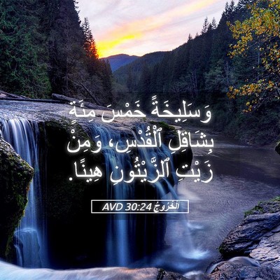 Picture 05 - اَلْخُرُوجُ 30:24 AVD - وَسَلِيخَةً خَمْسَ مِئَةٍ - Bible Verse Picture