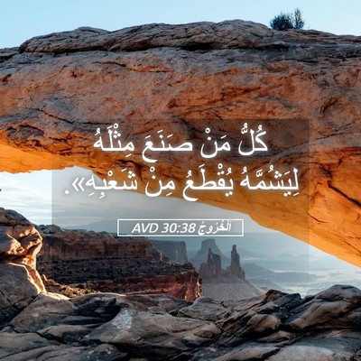 Picture 05 - اَلْخُرُوجُ 30:38 AVD - كُلُّ مَنْ صَنَعَ مِثْلَهُ - Bible Verse Picture