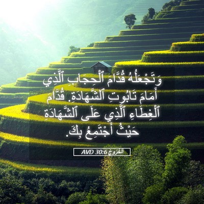Picture 05 - اَلْخُرُوجُ 30:6 AVD - وَتَجْعَلُهُ قُدَّامَ - Bible Verse Picture