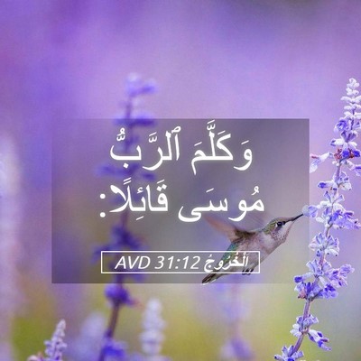 Picture 05 - اَلْخُرُوجُ 31:12 AVD - وَكَلَّمَ ٱلرَّبُّ مُوسَى - Bible Verse Picture