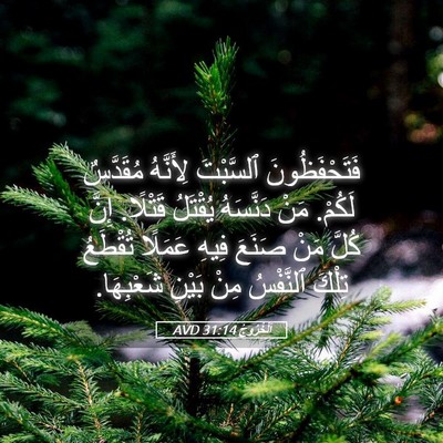 Picture 05 - اَلْخُرُوجُ 31:14 AVD - فَتَحْفَظُونَ ٱلسَّبْتَ - Bible Verse Picture