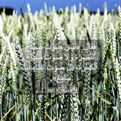 Picture 05 - اَلْخُرُوجُ 32:18 AVD - فَقَالَ: «لَيْسَ صَوْتَ - Bible Verse Picture