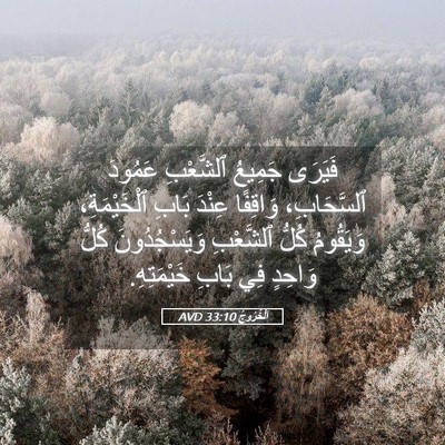 Picture 05 - اَلْخُرُوجُ 33:10 AVD - فَيَرَى جَمِيعُ ٱلشَّعْبِ - Bible Verse Picture