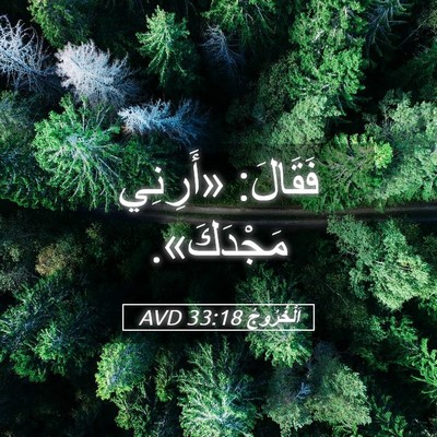 Picture 05 - اَلْخُرُوجُ 33:18 AVD - فَقَالَ: «أَرِنِي - Bible Verse Picture