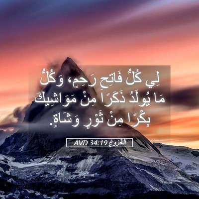 Picture 05 - اَلْخُرُوجُ 34:19 AVD - لِي كُلُّ فَاتِحِ رَحِمٍ، - Bible Verse Picture