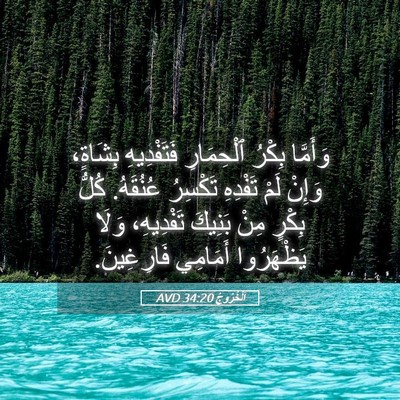 Picture 05 - اَلْخُرُوجُ 34:20 AVD - وَأَمَّا بِكْرُ - Bible Verse Picture