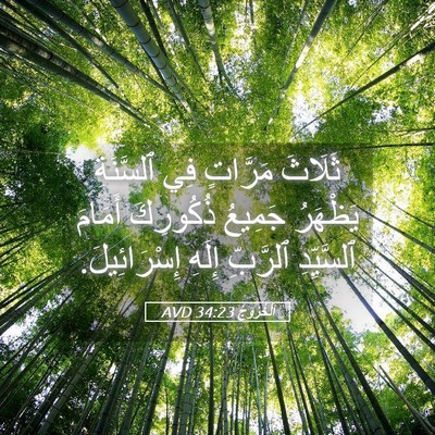 Picture 05 - اَلْخُرُوجُ 34:23 AVD - ثَلَاثَ مَرَّاتٍ فِي - Bible Verse Picture