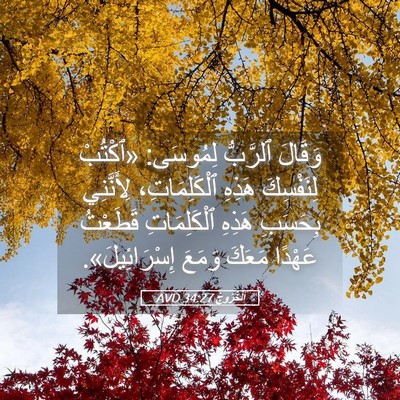 Picture 05 - اَلْخُرُوجُ 34:27 AVD - وَقَالَ ٱلرَّبُّ لِمُوسَى: - Bible Verse Picture