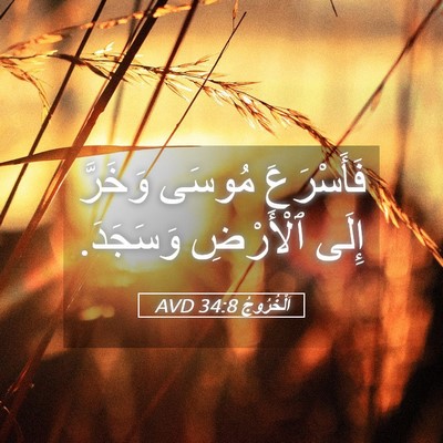 Picture 05 - اَلْخُرُوجُ 34:8 AVD - فَأَسْرَعَ مُوسَى وَخَرَّ - Bible Verse Picture