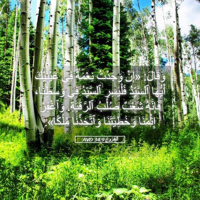 Picture 05 - اَلْخُرُوجُ 34:9 AVD - وَقَالَ: «إِنْ وَجَدْتُ - Bible Verse Picture