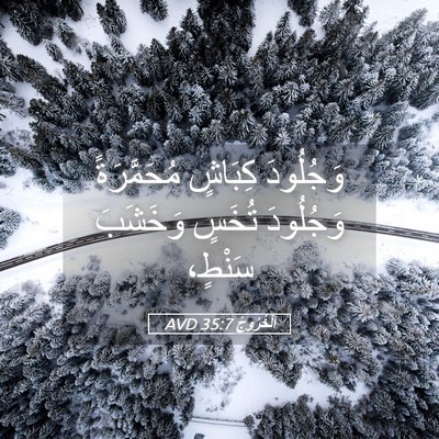 Picture 05 - اَلْخُرُوجُ 35:7 AVD - وَجُلُودَ كِبَاشٍ - Bible Verse Picture