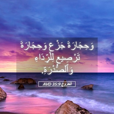 Picture 05 - اَلْخُرُوجُ 35:9 AVD - وَحِجَارَةَ جَزْعٍ - Bible Verse Picture
