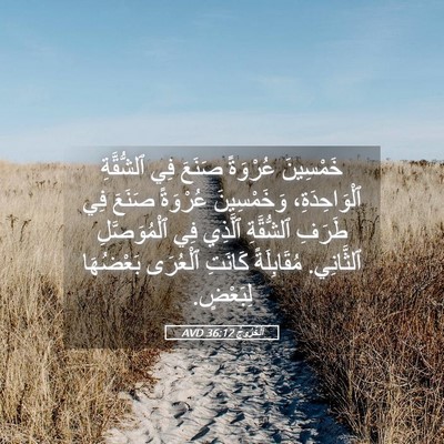 Picture 05 - اَلْخُرُوجُ 36:12 AVD - خَمْسِينَ عُرْوَةً صَنَعَ - Bible Verse Picture
