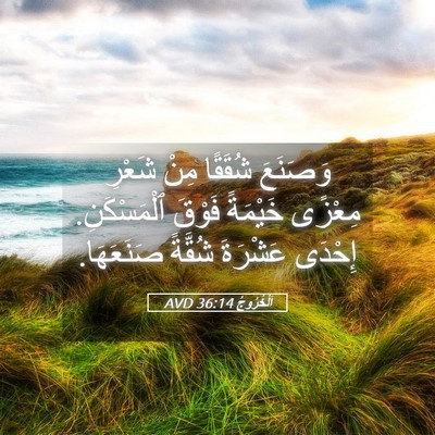 Picture 05 - اَلْخُرُوجُ 36:14 AVD - وَصَنَعَ شُقَقًا مِنْ - Bible Verse Picture