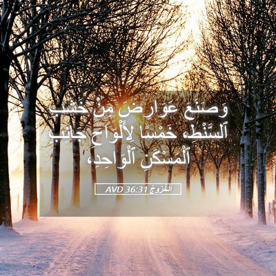 Picture 05 - اَلْخُرُوجُ 36:31 AVD - وَصَنَعَ عَوَارِضَ مِنْ - Bible Verse Picture