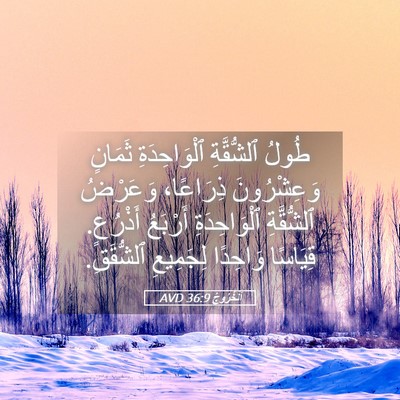 Picture 05 - اَلْخُرُوجُ 36:9 AVD - طُولُ ٱلشُّقَّةِ - Bible Verse Picture