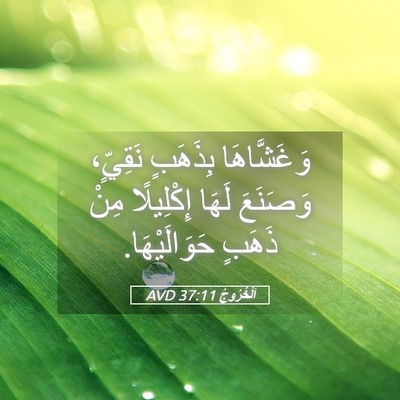 Picture 05 - اَلْخُرُوجُ 37:11 AVD - وَغَشَّاهَا بِذَهَبٍ - Bible Verse Picture