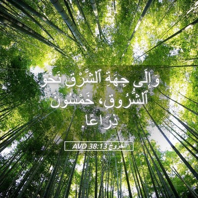 Picture 05 - اَلْخُرُوجُ 38:13 AVD - وَإِلَى جِهَةِ ٱلشَّرْقِ - Bible Verse Picture