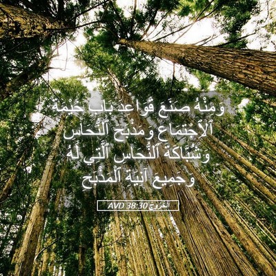Picture 05 - اَلْخُرُوجُ 38:30 AVD - وَمِنْهُ صَنَعَ قَوَاعِدَ - Bible Verse Picture