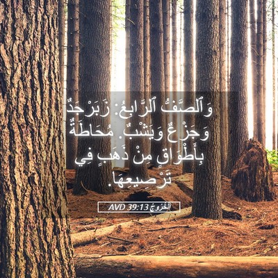 Picture 05 - اَلْخُرُوجُ 39:13 AVD - وَٱلصَّفُّ ٱلرَّابِعُ: - Bible Verse Picture