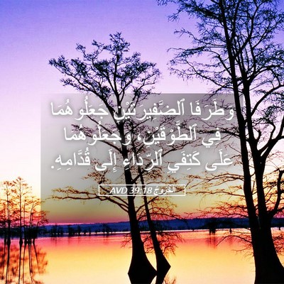 Picture 05 - اَلْخُرُوجُ 39:18 AVD - وَطَرَفَا - Bible Verse Picture