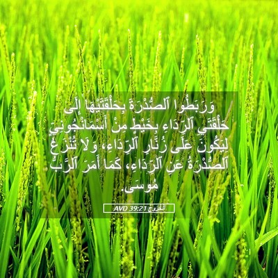 Picture 05 - اَلْخُرُوجُ 39:21 AVD - وَرَبَطُوا ٱلصُّدْرَةَ - Bible Verse Picture