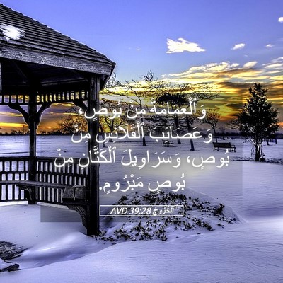 Picture 05 - اَلْخُرُوجُ 39:28 AVD - وَٱلْعِمَامَةَ مِنْ - Bible Verse Picture