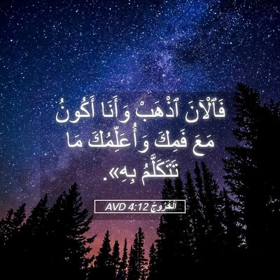 Picture 05 - اَلْخُرُوجُ 4:12 AVD - فَٱلْآنَ ٱذْهَبْ وَأَنَا - Bible Verse Picture